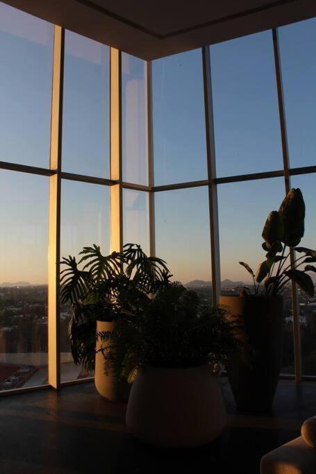 Apartmán Departamento En Zona Andares, Park Life Guadalajara Exteriér fotografie